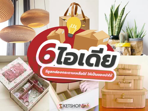  รียูสกล่องกระดาษเหลือใช้ ให้เป็นของน่าใช้  กระถางต้นไม้  โคมไฟกระดาษลัง  กล่องของขวัญ