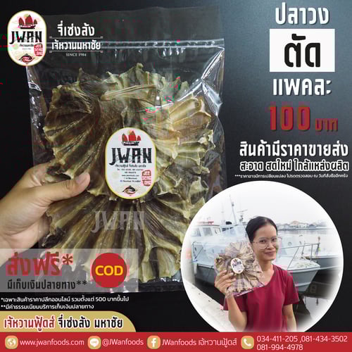 ปลาวงตัด