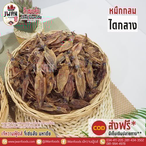 หมึกกลมไดกลาง