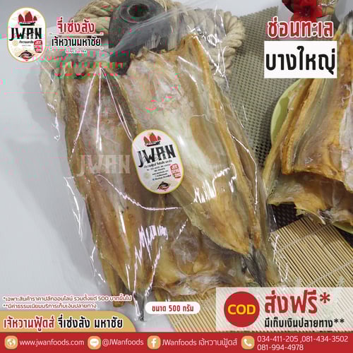 ปลาช่อนทะเลบางใหญ่ ณ