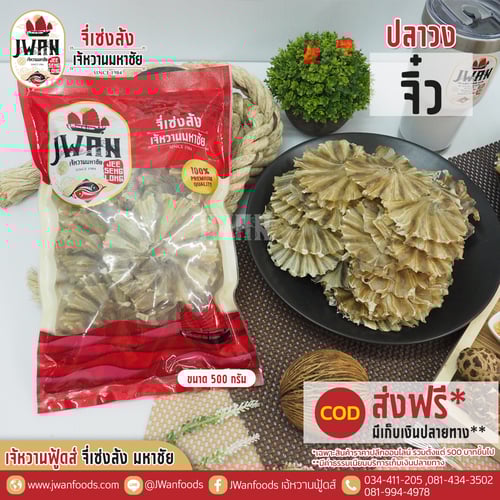 ปลาวงจิ๋ว