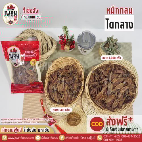 หมึกกลมไดกลาง