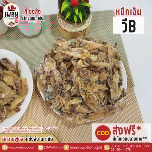 หมึกเอ็ม วี B