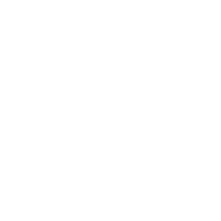 icon support