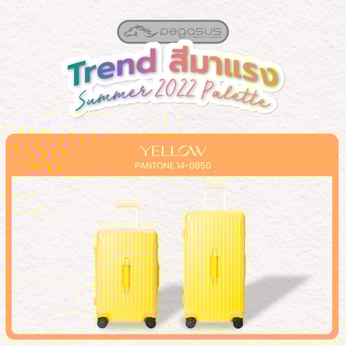 เทรนด์สีมาแรง สีแดง (กระเป๋าเดินทางสีเหลือง)