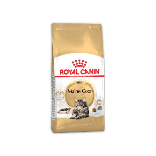 Royal Canin Maine Coon Cat Food 10kg