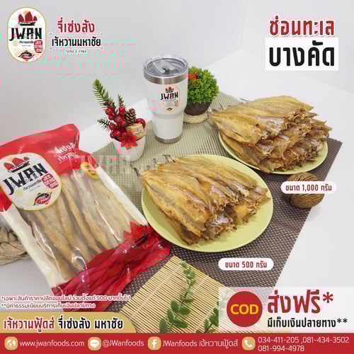 ปลาช่อนทะเลบางคัด ณ