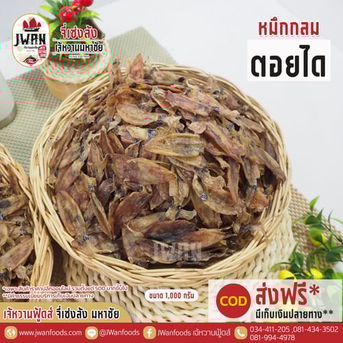 หมึกกลมตอยได