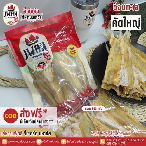 ปลาช่อนทะเลคัดใหญ่ ส