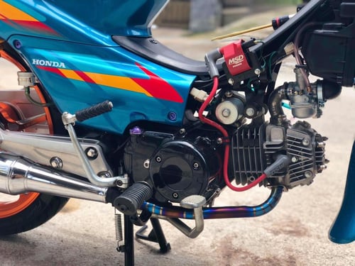 MSD Blaster Coil - 2 Pin