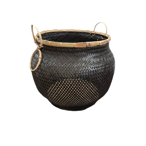 Black Vase Pot