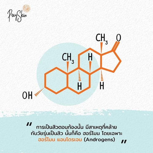 androgens during pregnancy