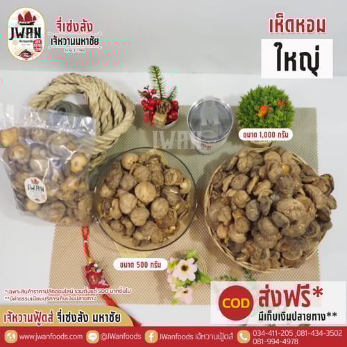 เห็ดหอมใหญ่