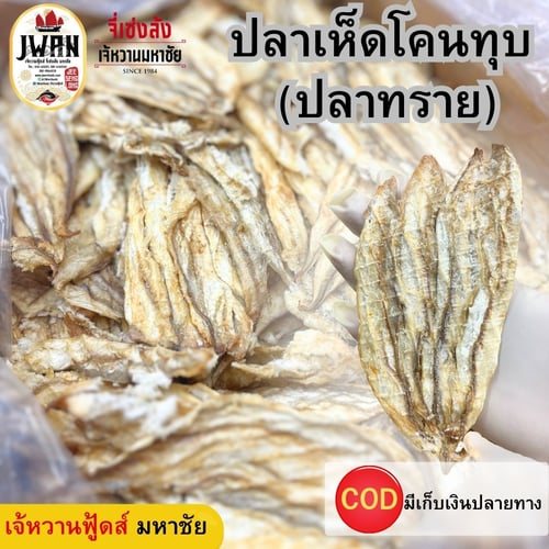 ปลาเห็ดโคนทุบ
