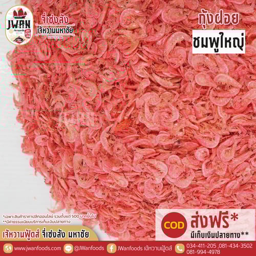 กุ้งฝอยชมพูใหญ่