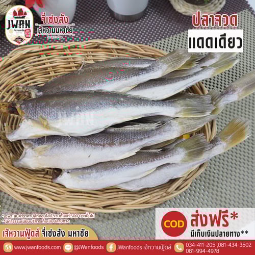 ปลาจวดแดดเดียว