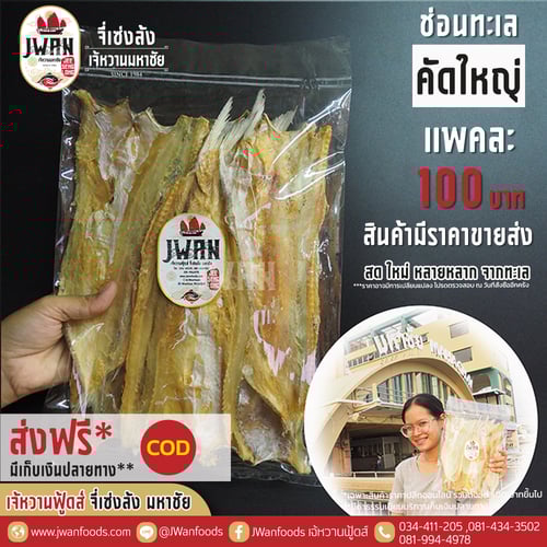 ปลาช่อนทะเลคัดใหญ่ ส