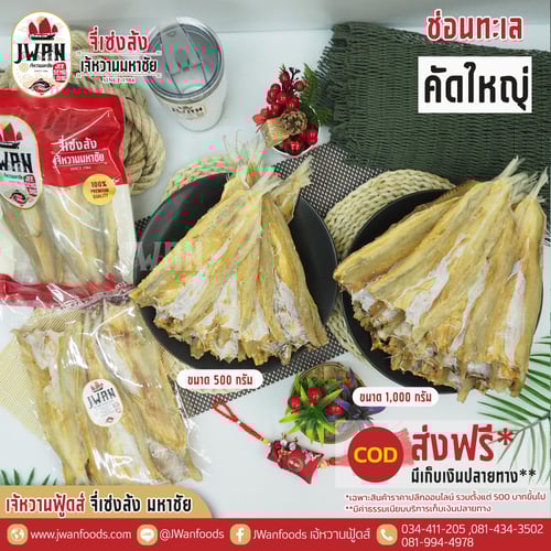 ปลาช่อนทะเลคัดใหญ่ ส