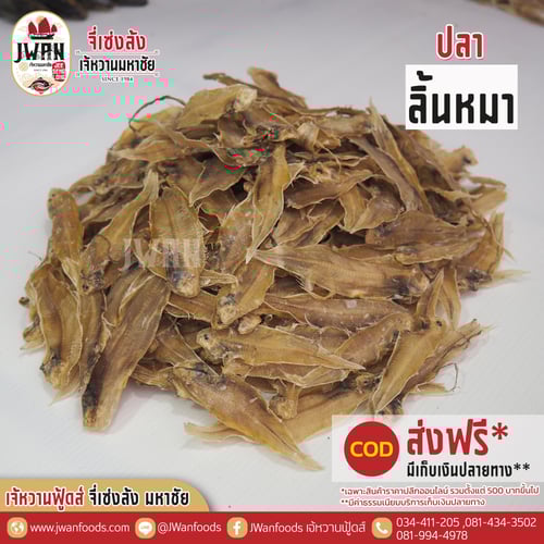 ปลาลิ้นหมา