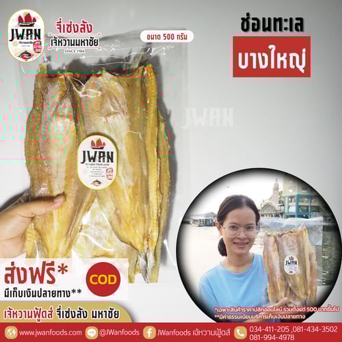 ปลาช่อนทะเลบางใหญ่ ณ