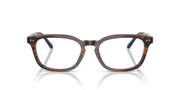 Polo Ralph Lauren PH2294 Shiny Striped Brown