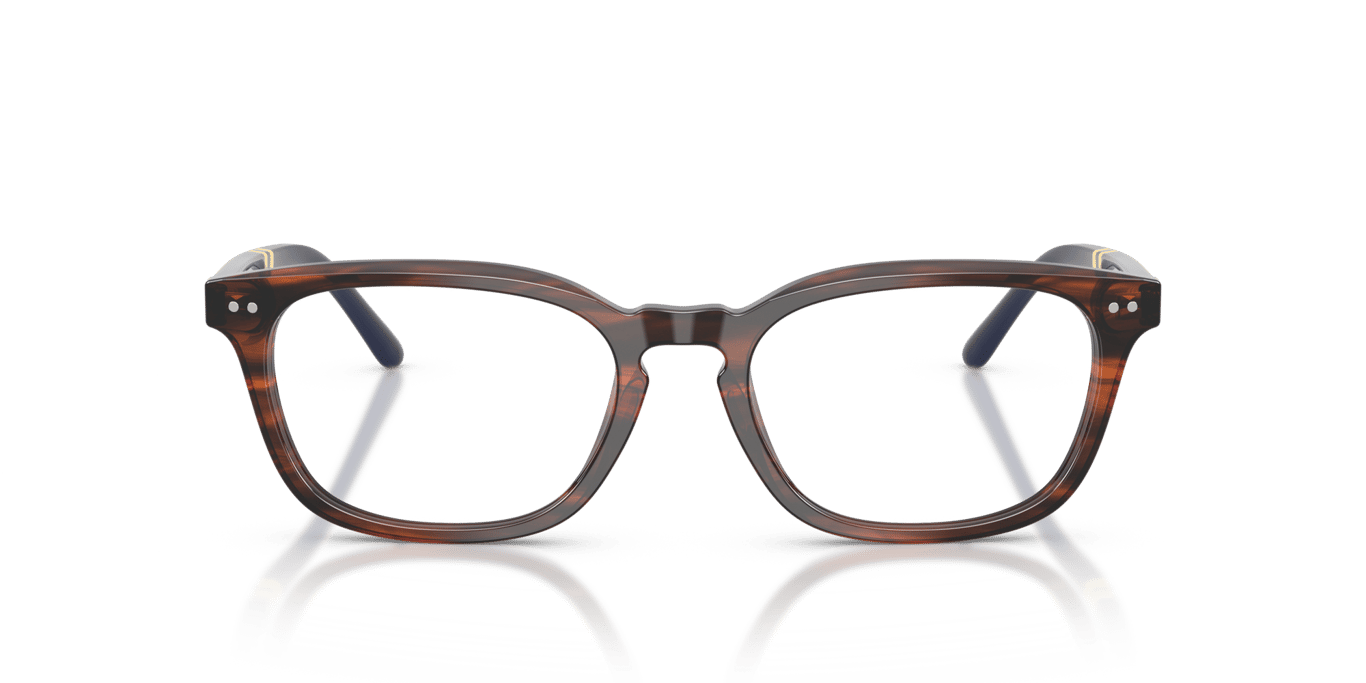 Polo Ralph Lauren PH2294 Shiny Striped Brown