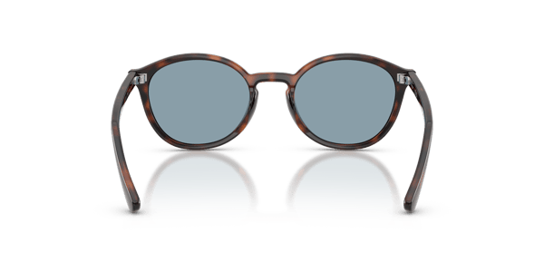 Vogue VJ2033 Total Dark Havana