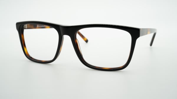 Tortuga negra Darell de Frame Fiesta