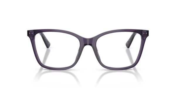 Jimmy Choo JC3048U Transparent Prune
