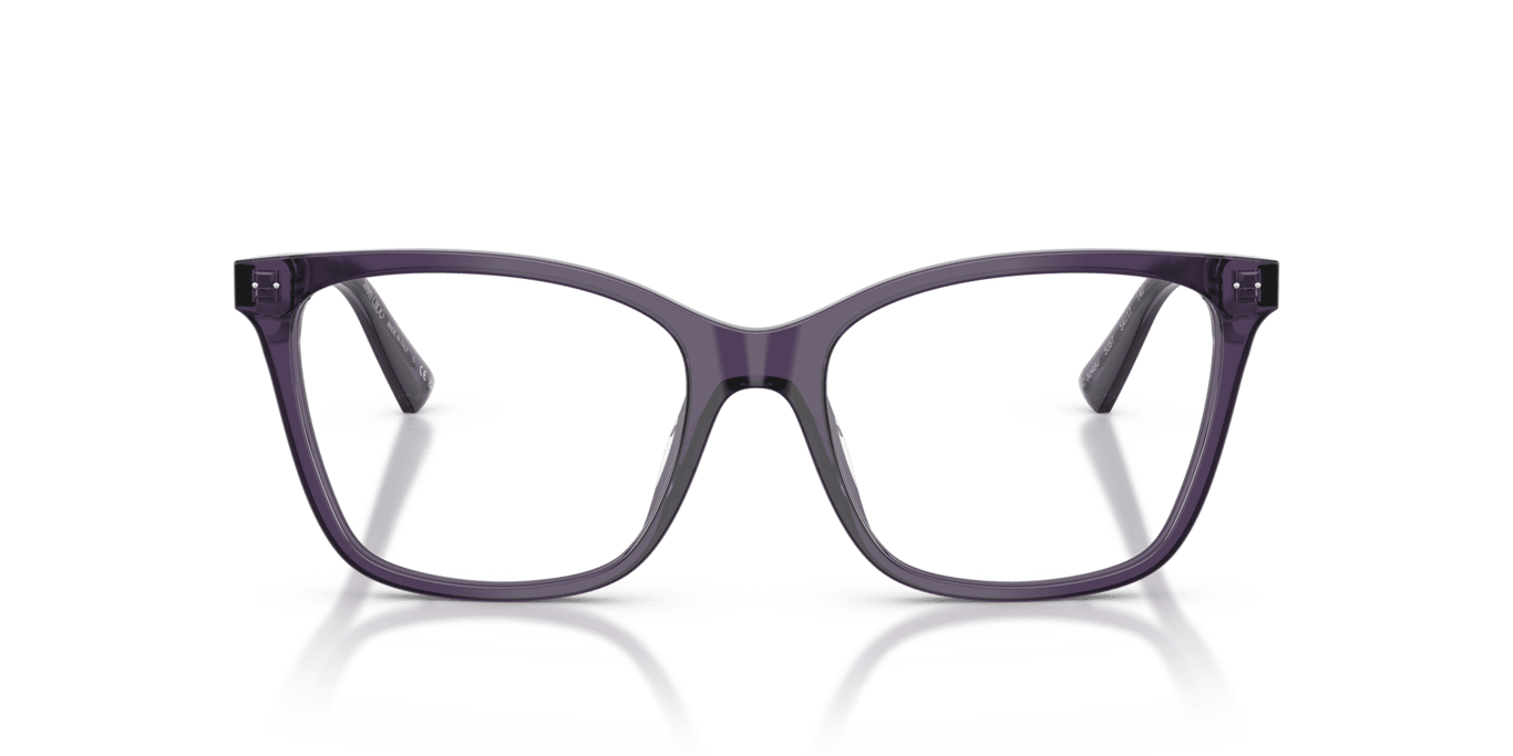 Jimmy Choo JC3048U Transparent Prune