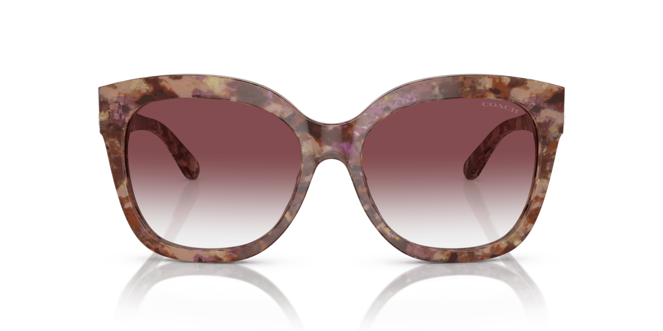 Coach HC8264 Petal Tortoise