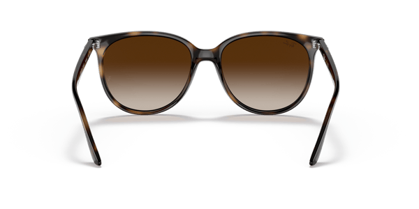 Ray-Ban RB4378 Havana