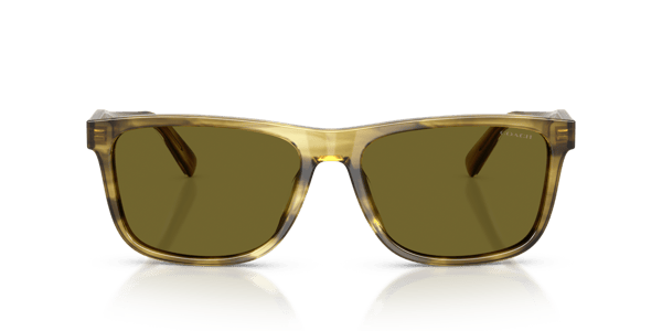 Coach HC8454U Striated Olive