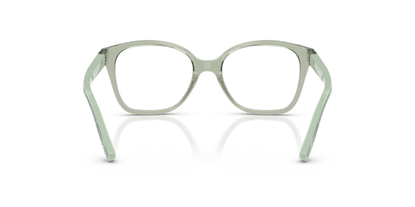 Vogue VY2045 Transparent Green