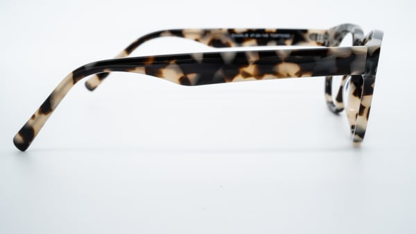 success:xpl Charlie Tortoise