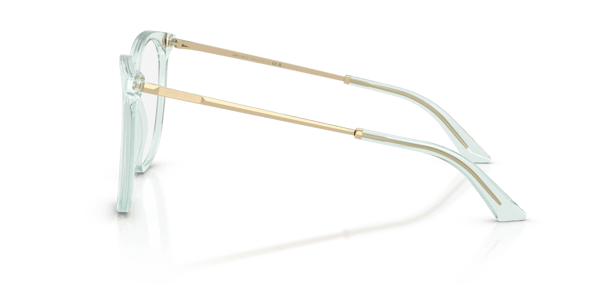 Jimmy Choo JC3060 Transparent Green