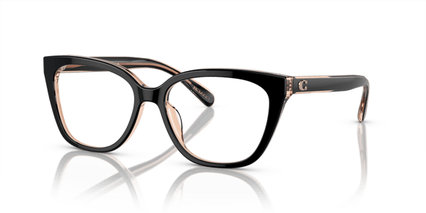 Coach HC6226F Black/Transparent Blush