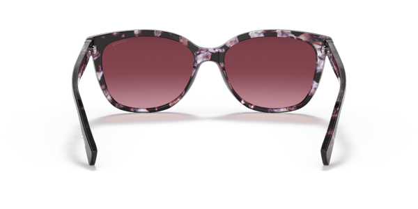 Coach HC8132 Purple Tortoise