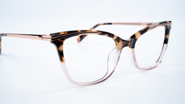 Ted Baker TW024 Ivory Tortoise