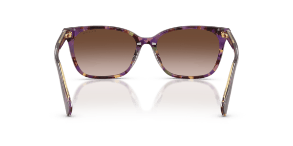 Ralph Lauren RA5348U Violet Havana/Transparent