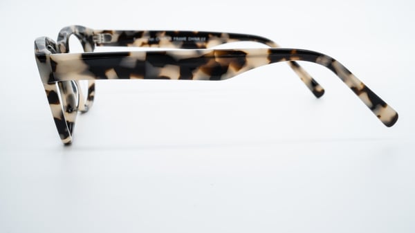 success:xpl Charlie Tortoise