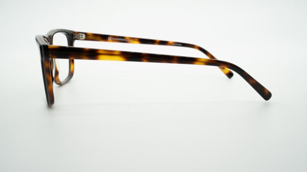 Tortuga negra Darell de Frame Fiesta