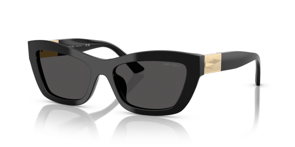 Jimmy Choo JC5030U Black