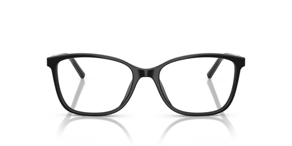 Dolce&Gabbana DG3424 Black