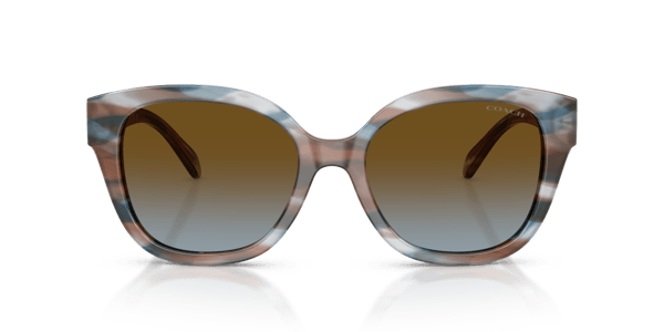 Coach HC8438U Striated Maple/Blueberry