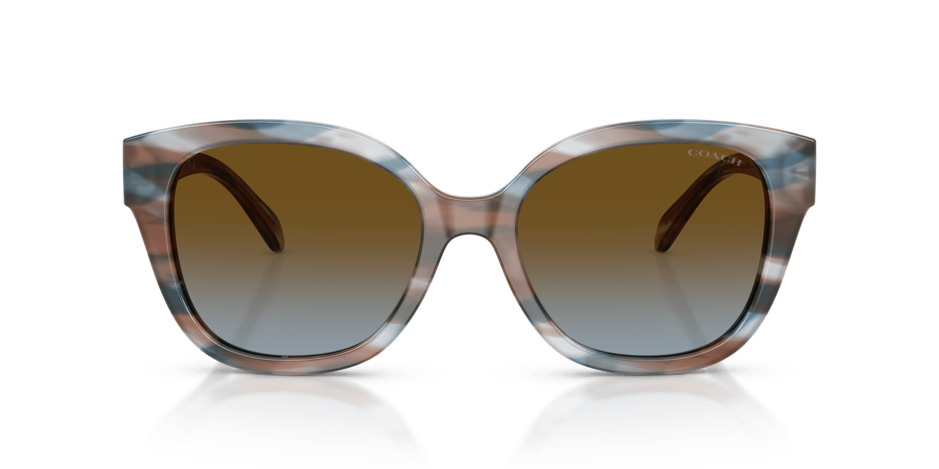 Coach HC8438U Striated Maple/Blueberry