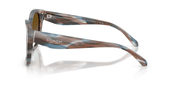 Coach HC8438U Striated Maple/Blueberry