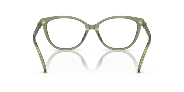 Michael Kors MK4109U Green Transparent