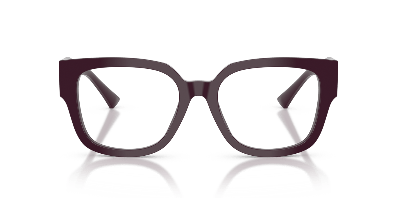 Jimmy Choo JC3042B Prune