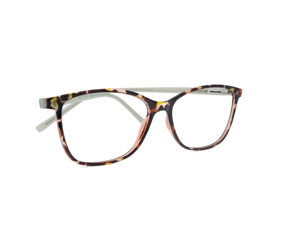 Mejora EN4315 Tortuga de otoño